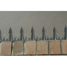 Wall Spikes for Wall